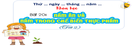 Chăm sóc hoa, cây cảnh trong chậu