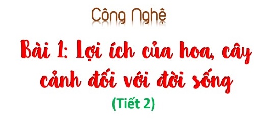 Bài 1: Lợi ích của việc trồng hoa, cây cảnh đối với đời sống (Tiết 2)