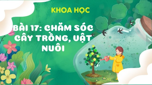 Bài 17: Chăm sống cây trồng vật nuôi