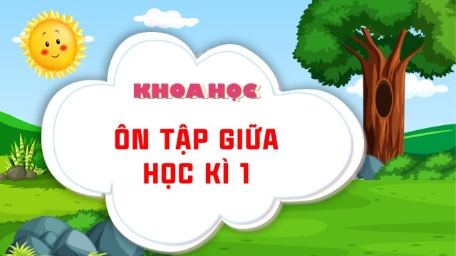 Ôn tập giữa kỳ 1 (NH 2526)